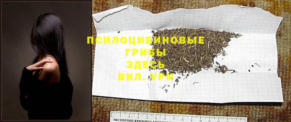 альфа пвп Заводоуковск