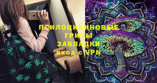 альфа пвп Заводоуковск