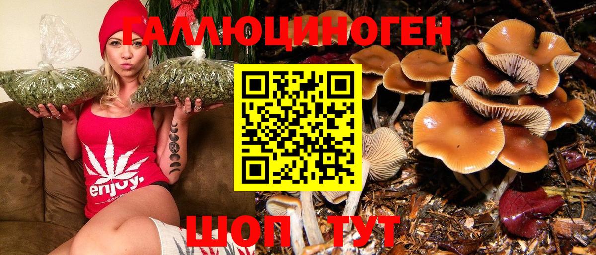 Псилоцибиновые грибы Psilocybe  Галлюциногенные грибы Magic Shrooms  наркотики  Волжский 