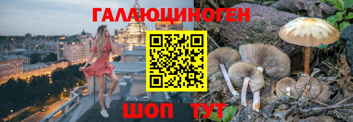 Псилоцибиновые грибы MAGIC MUSHROOMS  Вход с VPN  Волжский  Псилоцибиновые грибы мухоморы 