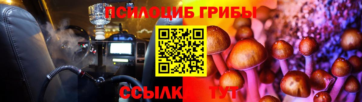 Псилоцибиновые грибы Cubensis Волжский